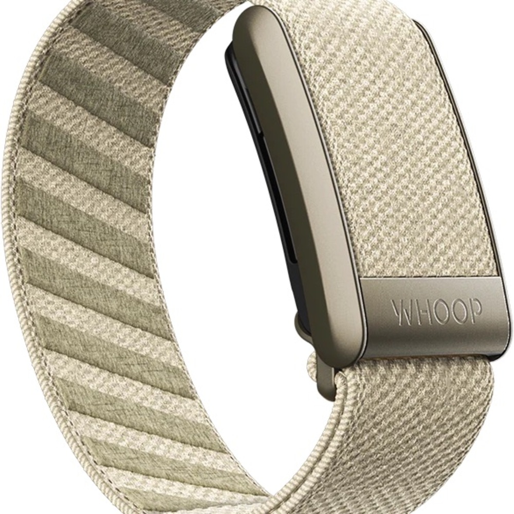 Whoop 4.0 Stone Band